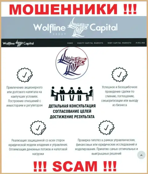 Не верьте, что область работы WolflineCapital - Финансовый консалтинг легальна - это обман