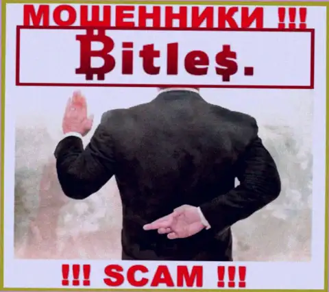 Не ведитесь на заоблачную прибыль с дилинговой организацией Bitles Eu - это капкан для доверчивых людей