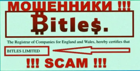 Руководителями Битлес Еу является компания - Bitles Limited