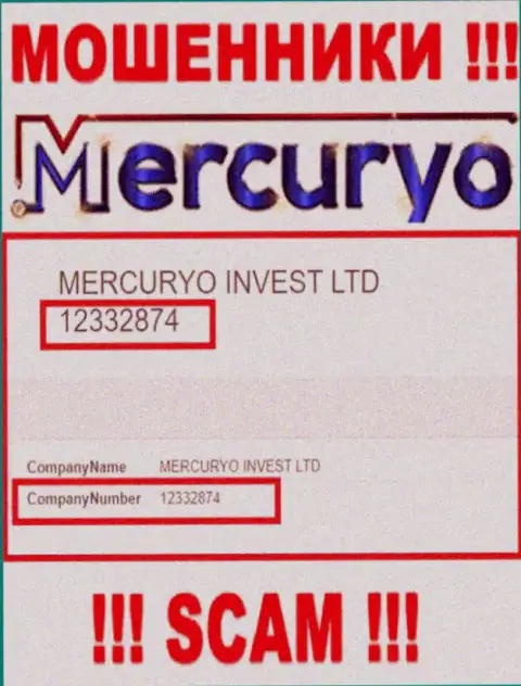 Номер регистрации неправомерно действующей организации Меркурио Ко Ком: 12332874