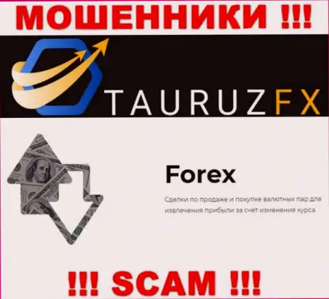 Форекс - это именно то, чем занимаются мошенники TauruzFX