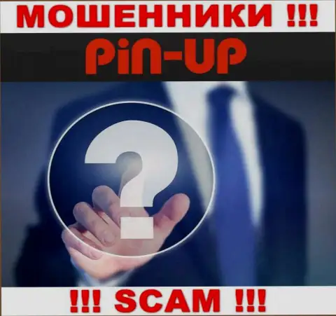 Не работайте совместно с мошенниками Pin Up Casino - нет сведений о их прямых руководителях