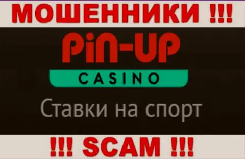 Основная работа Pin Up Casino - это Казино, будьте весьма внимательны, прокручивают делишки противоправно