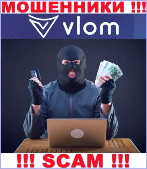 В компании Vlom Com вешают лапшу на уши доверчивым клиентам и заманивают в свой лохотронный проект