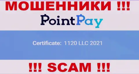 Рег. номер Поинт Пей, который показан мошенниками у них на web-ресурсе: 1120 LLC 2021