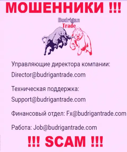 Не пишите на адрес электронной почты Budrigan Ltd - internet-жулики, которые воруют финансовые вложения людей