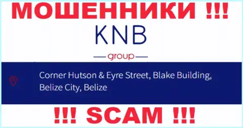 Финансовые активы из конторы KNB Group вывести невозможно, поскольку расположились они в оффшоре - Corner Hutson & Eyre Street, Blake Building, Belize City, Belize