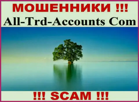 All Trd Accounts прикарманивают денежные активы и остаются без наказания - они прячут инфу о юрисдикции