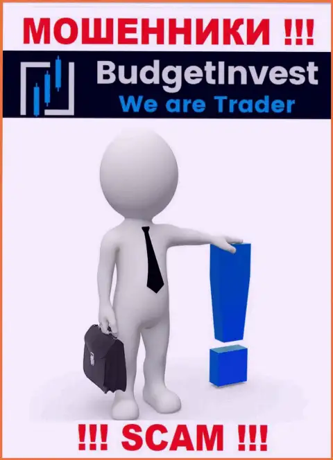 Budget Invest - это интернет-ворюги !!! Не говорят, кто ими управляет